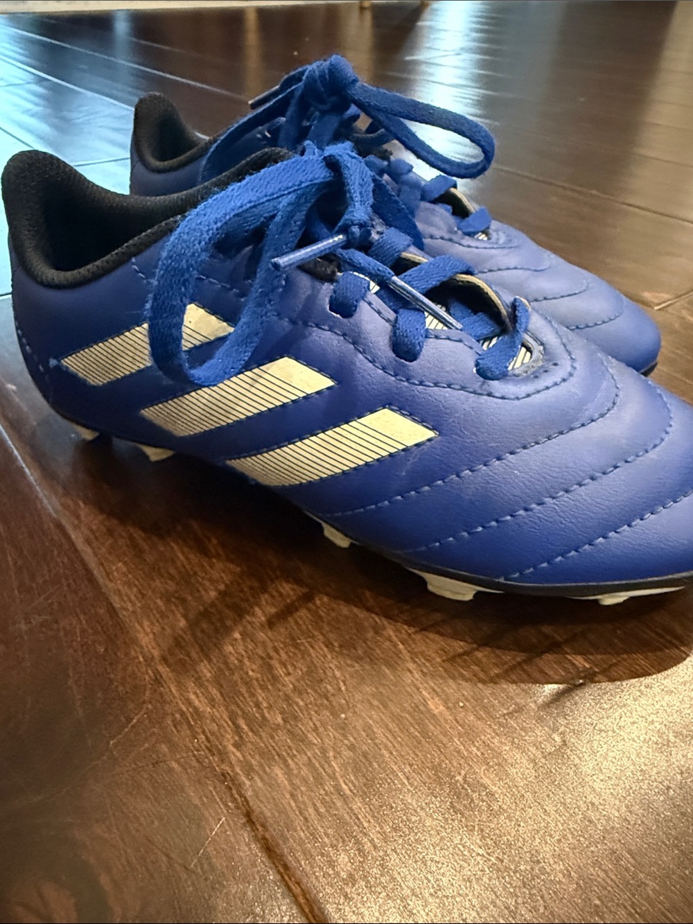 Adidas Blue Youth Soccer Cleats